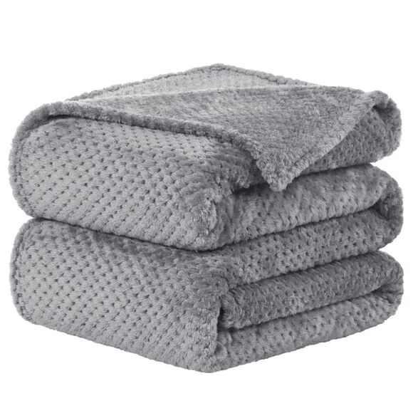 Flannel Fleece Bed Blankets Microfiber Plush 330GSM 90"x108" Light Gray - Picture 1 of 6